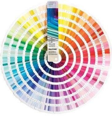 Spruzzatore di plastica Bottiglia spruzzatrice di nebbia in PET con stampa a colori personalizzata e capacità di 100 ml